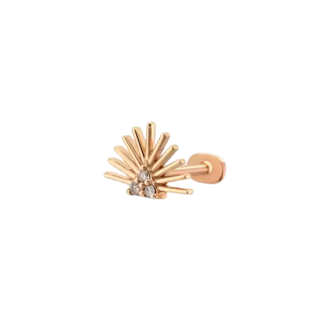 Shell Piercing