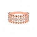Reine Ring