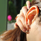 Shell Earrings