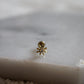 Floral Star Gold Piercing