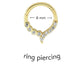 Asymetric Gold Piercing
